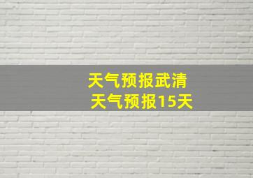 天气预报武清天气预报15天