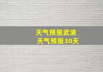 天气预报武清天气预报30天