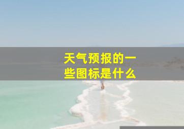 天气预报的一些图标是什么