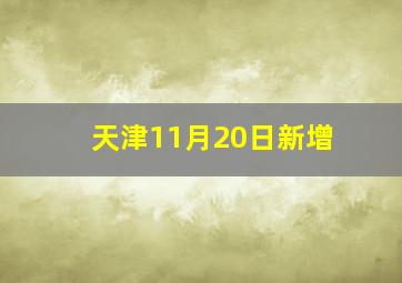 天津11月20日新增