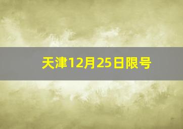 天津12月25日限号