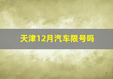 天津12月汽车限号吗