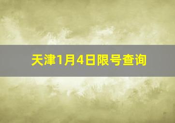 天津1月4日限号查询