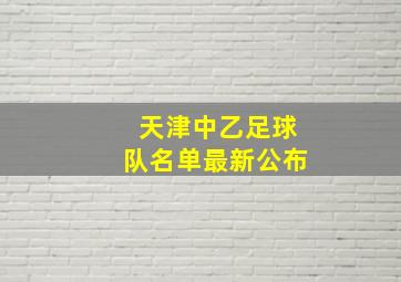 天津中乙足球队名单最新公布