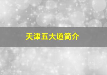 天津五大道简介