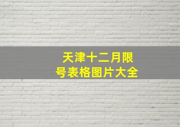 天津十二月限号表格图片大全