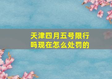 天津四月五号限行吗现在怎么处罚的