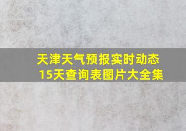 天津天气预报实时动态15天查询表图片大全集