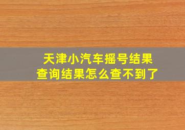 天津小汽车摇号结果查询结果怎么查不到了