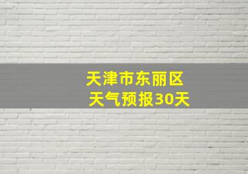 天津市东丽区天气预报30天