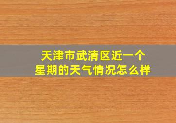 天津市武清区近一个星期的天气情况怎么样