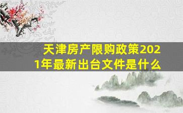 天津房产限购政策2021年最新出台文件是什么