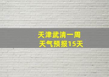 天津武清一周天气预报15天