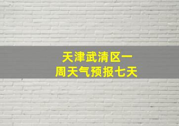 天津武清区一周天气预报七天