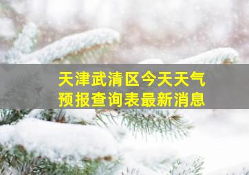 天津武清区今天天气预报查询表最新消息