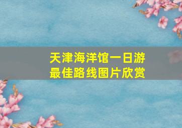 天津海洋馆一日游最佳路线图片欣赏