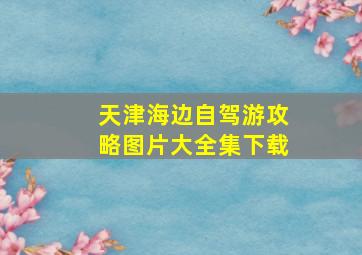 天津海边自驾游攻略图片大全集下载