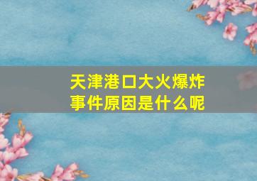 天津港口大火爆炸事件原因是什么呢