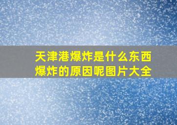 天津港爆炸是什么东西爆炸的原因呢图片大全