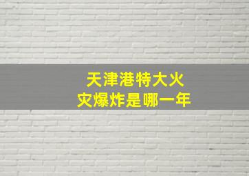 天津港特大火灾爆炸是哪一年