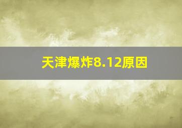 天津爆炸8.12原因