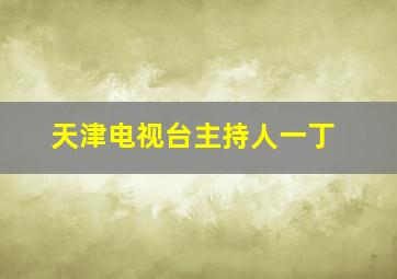 天津电视台主持人一丁