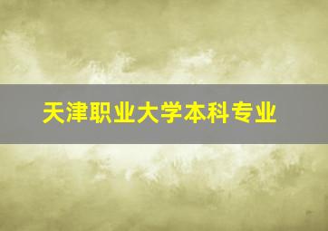 天津职业大学本科专业