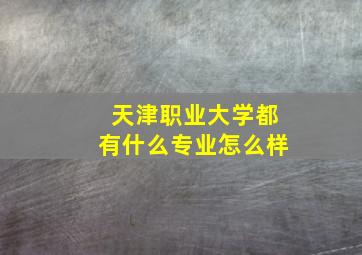 天津职业大学都有什么专业怎么样