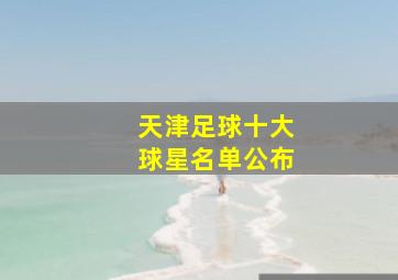 天津足球十大球星名单公布