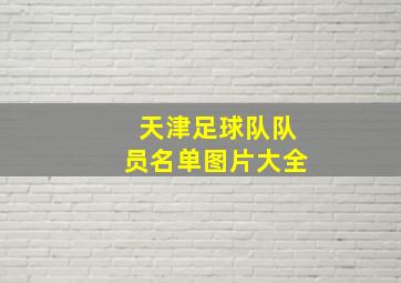 天津足球队队员名单图片大全