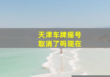 天津车牌摇号取消了吗现在