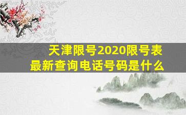 天津限号2020限号表最新查询电话号码是什么