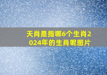 天肖是指哪6个生肖2024年的生肖呢图片