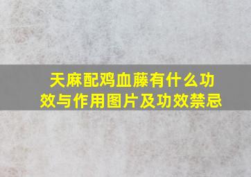 天麻配鸡血藤有什么功效与作用图片及功效禁忌