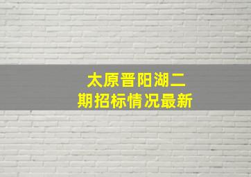 太原晋阳湖二期招标情况最新