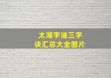 太湖字谜三字诀汇总大全图片