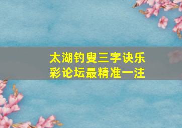 太湖钓叟三字诀乐彩论坛最精准一注