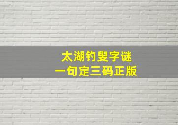 太湖钓叟字谜一句定三码正版