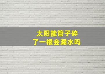 太阳能管子碎了一根会漏水吗