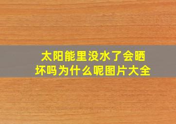 太阳能里没水了会晒坏吗为什么呢图片大全