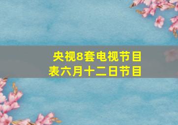 央视8套电视节目表六月十二日节目