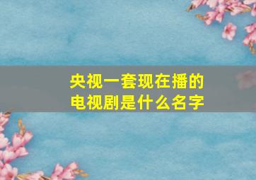 央视一套现在播的电视剧是什么名字