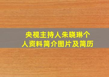 央视主持人朱晓琳个人资料简介图片及简历