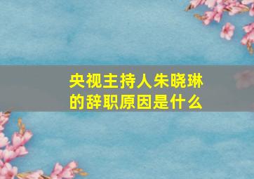 央视主持人朱晓琳的辞职原因是什么