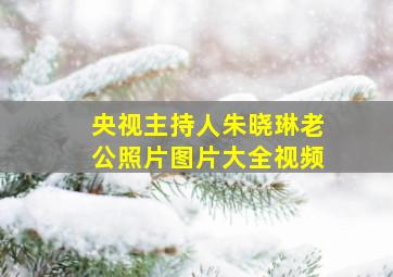 央视主持人朱晓琳老公照片图片大全视频