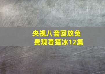 央视八套回放免费观看猎冰12集