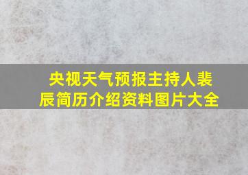 央视天气预报主持人裴辰简历介绍资料图片大全