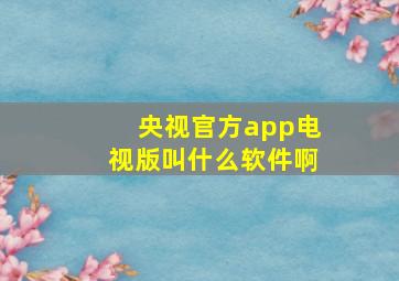 央视官方app电视版叫什么软件啊