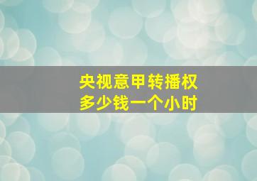 央视意甲转播权多少钱一个小时