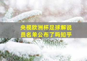 央视欧洲杯足球解说员名单公布了吗知乎